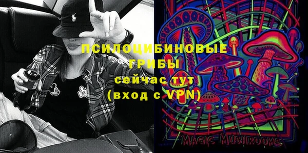 соль ск Верея