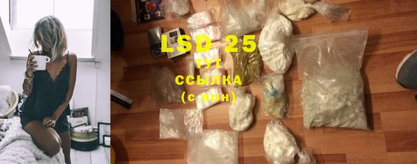 прущие грибы Володарск