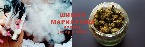 прущие грибы Володарск