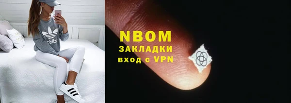 прущие грибы Володарск