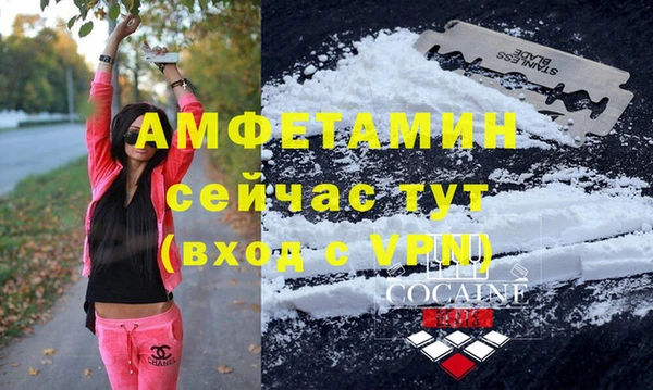 прущие грибы Володарск
