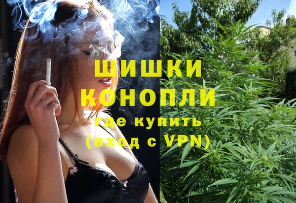 прущие грибы Володарск